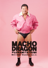 藤波辰爾 ～MACHO DRAGON～