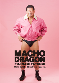 TATSUMI FUJINAMI ~MACHO DRAGON~