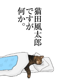 Futaro the cat