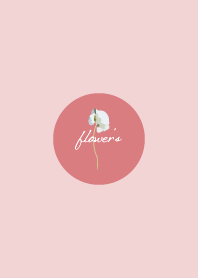 simple love flower Theme Happy012