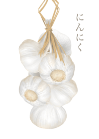 Raw garlic 2
