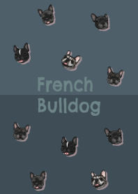 French Bulldog brindle / dark steel blue