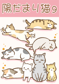sunny spot cats 9