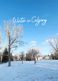 Winter in Calgary (16)
