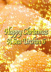 Happy Christmas A Sea Urchin 6