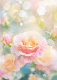 Beautiful rose flower(R2848)