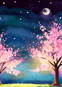 Beautiful night cherry blossoms#225