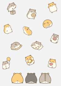 Cute fat hamster./white5