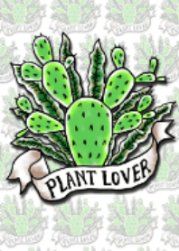 ★クールな観葉植物★