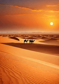 Desert sunset   2870fD