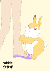 Hug series animals 4-rabbit