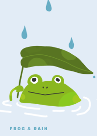 Frog rain