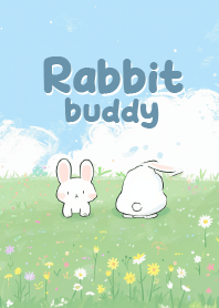 funny rabbit and buddy