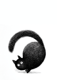 The Mystery of the Tail