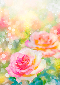 Beautiful rose flower(R2866)