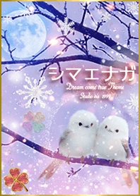 シマエナガとクローバー✨運気上昇＊