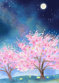 Beautiful night cherry blossoms#1330