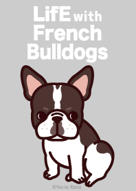 Life with French bulldogs