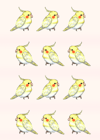 Lovely small cockatoos Theme (No.3)