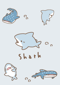simple cute shark : blue WV