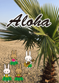 Aloha lapaki Beach version