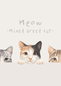 Meow - Mixed breed cat 01 - PASTEL IVORY