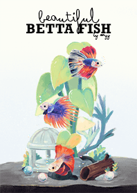 beautiful betta fish by myy