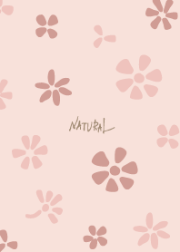 Many florets Pink5 from Japan