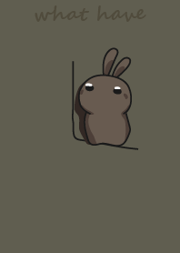 rabbit staring - what