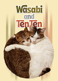 WASABI AND TENTEN
