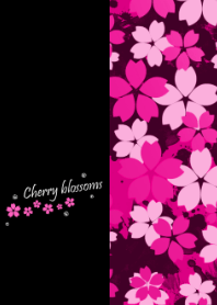 夜桜 -Vivid pink-