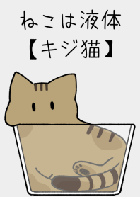 ねこは液体【キジトラ】