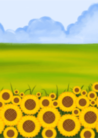 Sunflowers in the morning