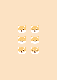 Animal : Shiba Inu