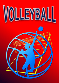 Volleyball Spirit