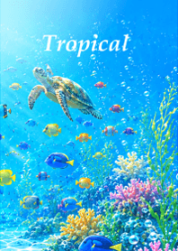 Happy tropical sea4.
