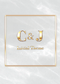 [ C&J ] Initial Theme Gold Gray