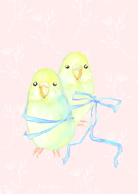 セキセイインコとリボン#水彩タッチ