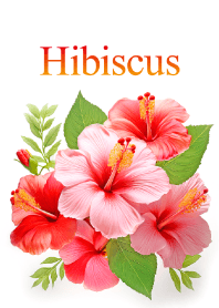 "Hibiscus vol.4" theme