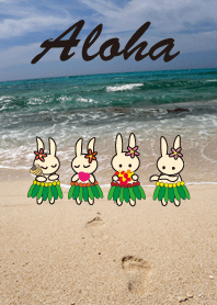 アロハ ウサギ
