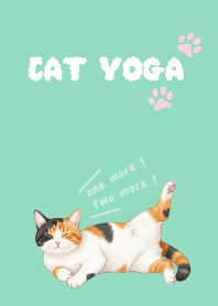 แมวกำลังเล่นโยคะ_a10