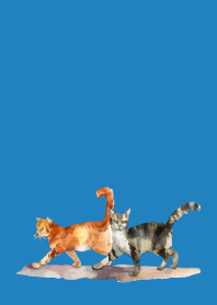 two cats on blue