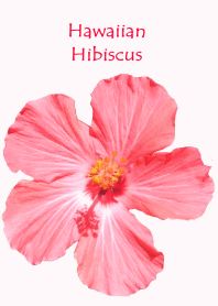 Hawaiian red hibiscus flower theme
