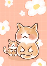 花與橘貓 (更新版)