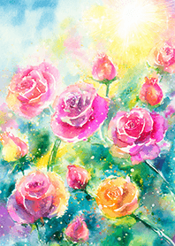 Beautiful rose flower(R2239)