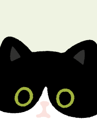 Tuxedo cat and Black cat.8