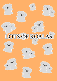 LOTS OF KOALASj-ORANGE