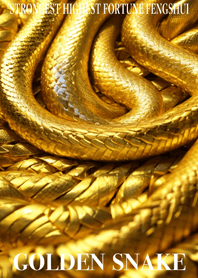 黄金の蛇　幸運の80
