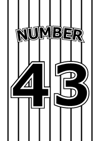 Number 43 stripe version
