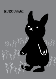 Change of clothes of black rabbit